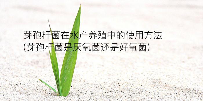 芽孢杆菌在水产养殖中的使用方法(芽孢杆菌是厌氧菌还是好氧菌)