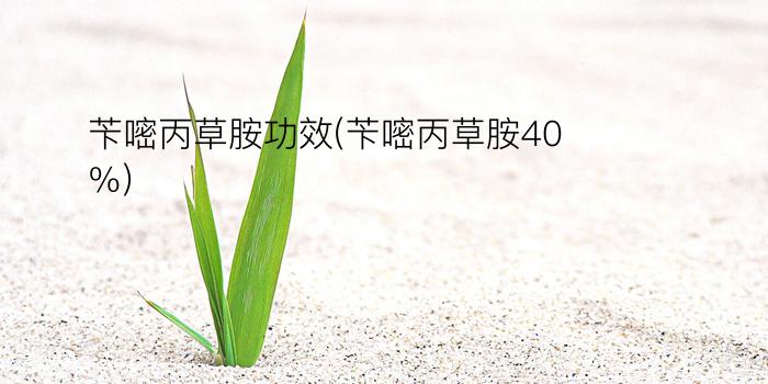 苄嘧丙草胺功效(苄嘧丙草胺40%)