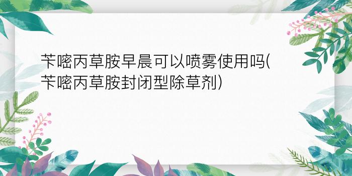 苄嘧丙草胺早晨可以喷雾使用吗(苄嘧丙草胺封闭型除草剂)