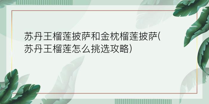 苏丹王榴莲披萨和金枕榴莲披萨(苏丹王榴莲怎么挑选攻略)