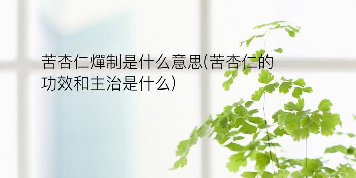 苦杏仁燀制是什么意思(苦杏仁的功效和主治是什么)