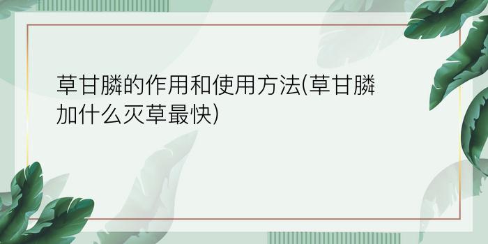 草甘膦的作用和使用方法(草甘膦加什么灭草最快)