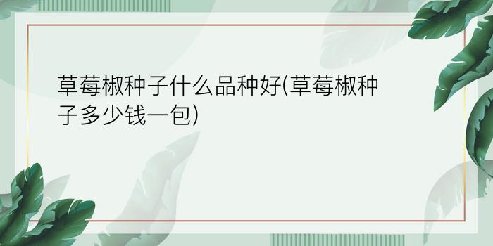 草莓椒种子什么品种好(草莓椒种子多少钱一包)