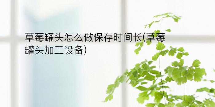 草莓罐头怎么做保存时间长(草莓罐头加工设备)