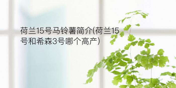 荷兰15号马铃薯简介(荷兰15号和希森3号哪个高产)