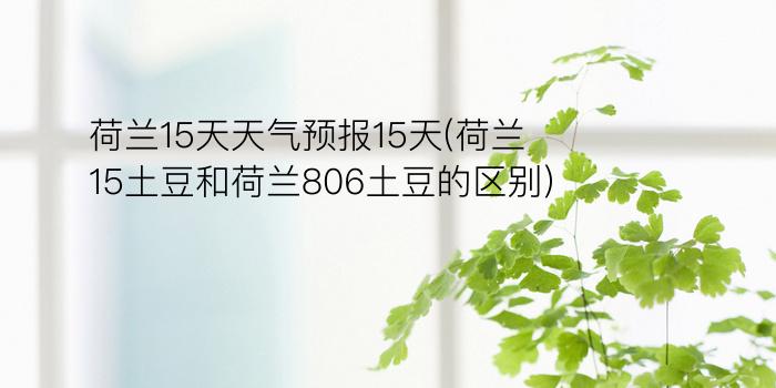 荷兰15天天气预报15天(荷兰15土豆和荷兰806土豆的区别?)