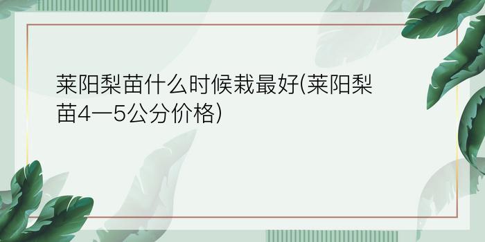 莱阳梨苗什么时候栽最好(莱阳梨苗4一5公分价格)