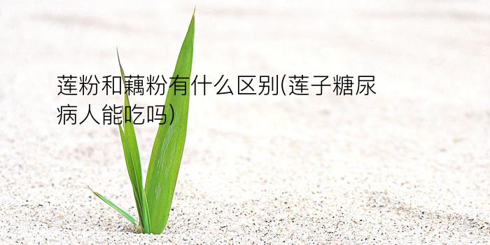 莲粉和藕粉有什么区别(莲子糖尿病人能吃吗)