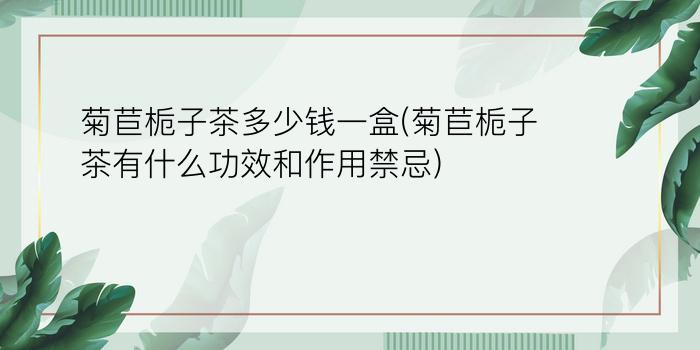 菊苣栀子茶多少钱一盒(菊苣栀子茶有什么功效和作用禁忌)