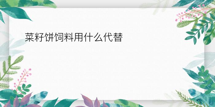 菜籽饼饲料用什么代替