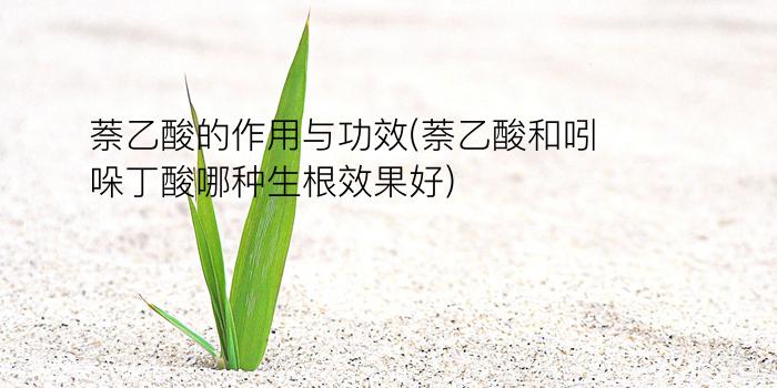 萘乙酸的作用与功效(萘乙酸和吲哚丁酸哪种生根效果好)