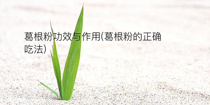 葛根粉功效与作用(葛根粉的正确吃法)