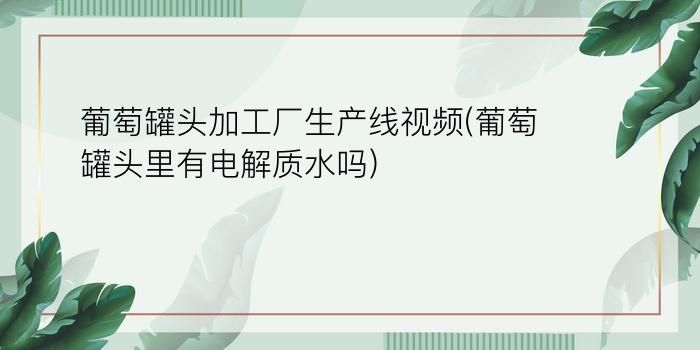 葡萄罐头加工厂生产线视频(葡萄罐头里有电解质水吗)