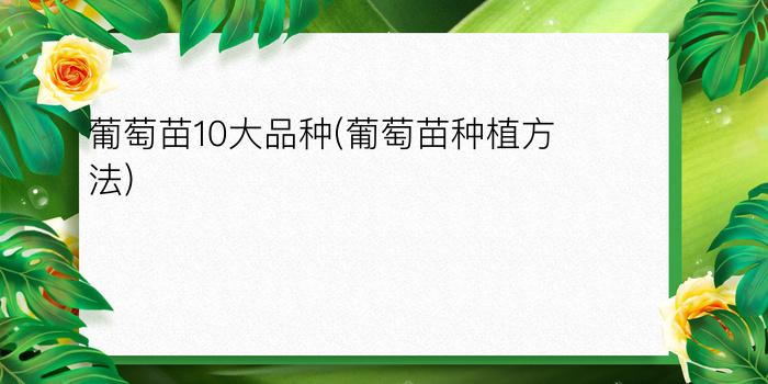 葡萄苗10大品种(葡萄苗种植方法)