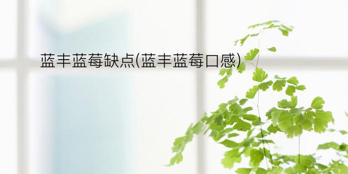 蓝丰蓝莓缺点(蓝丰蓝莓口感)