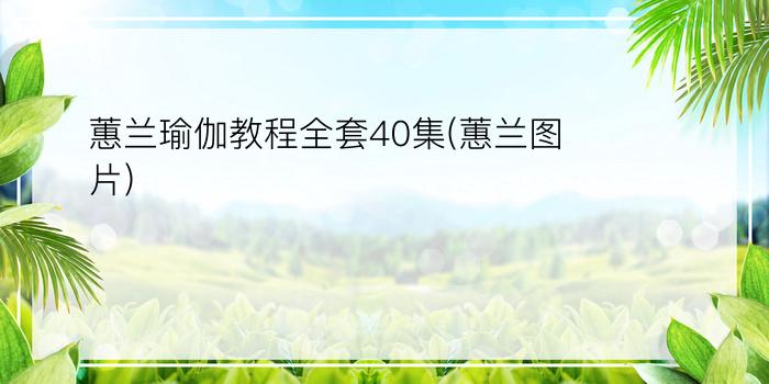 蕙兰瑜伽教程全套40集(蕙兰图片)