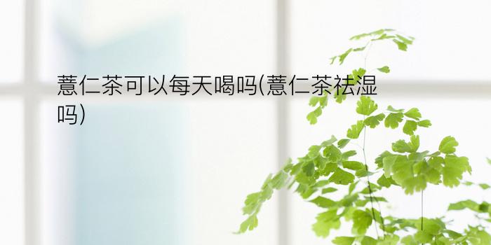 薏仁茶可以每天喝吗(薏仁茶祛湿吗)