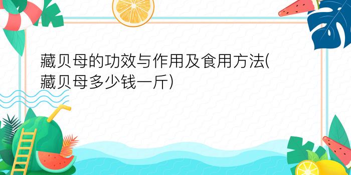 藏贝母的功效与作用及食用方法(藏贝母多少钱一斤)