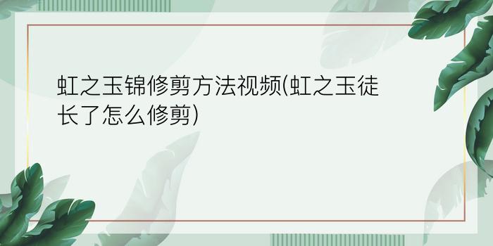 虹之玉锦修剪方法视频(虹之玉徒长了怎么修剪)