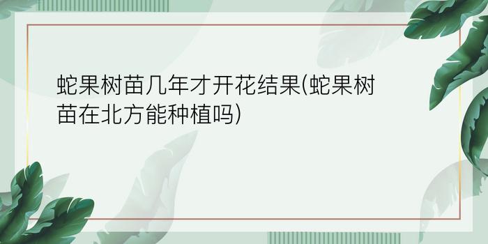 蛇果树苗几年才开花结果(蛇果树苗在北方能种植吗)