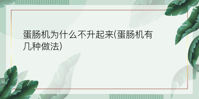 蛋肠机为什么不升起来(蛋肠机有几种做法)