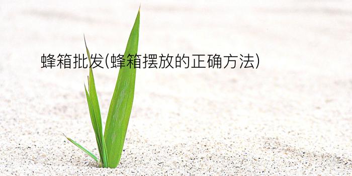 蜂箱批发(蜂箱摆放的正确方法)