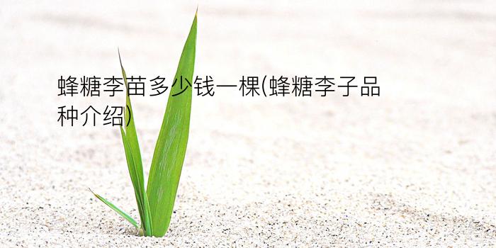 蜂糖李苗多少钱一棵(蜂糖李子品种介绍)