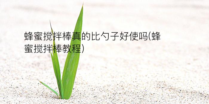 蜂蜜搅拌棒真的比勺子好使吗(蜂蜜搅拌棒教程)