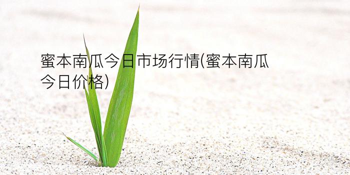 蜜本南瓜今日市场行情(蜜本南瓜今日价格)