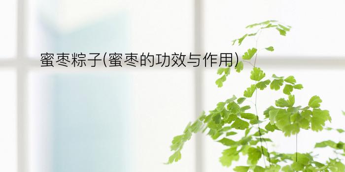 蜜枣粽子(蜜枣的功效与作用)