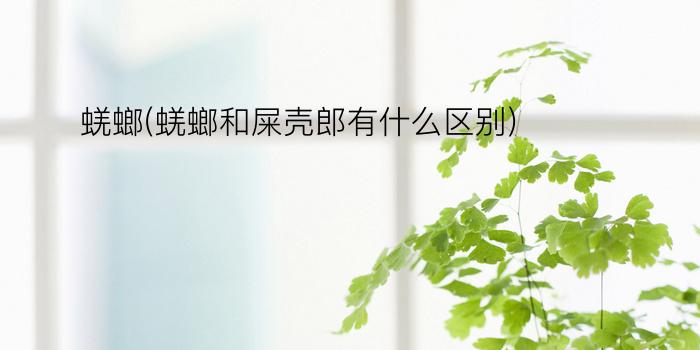 蜣螂(蜣螂和屎壳郎有什么区别)