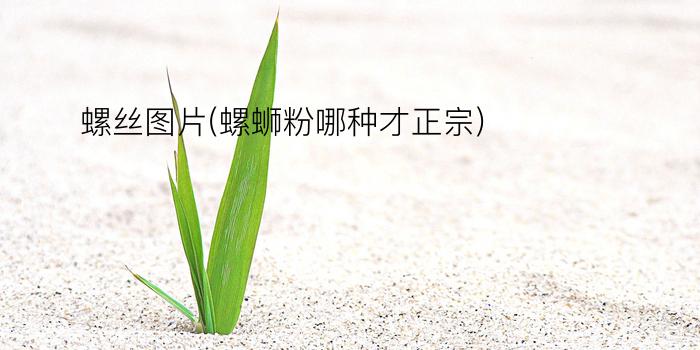 螺丝图片(螺蛳粉哪种才正宗)