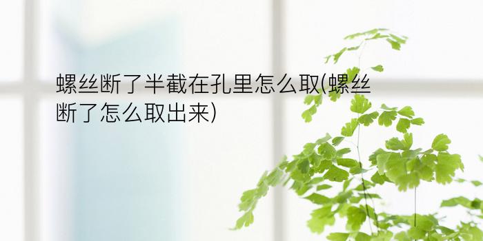 螺丝断了半截在孔里怎么取(螺丝断了怎么取出来)