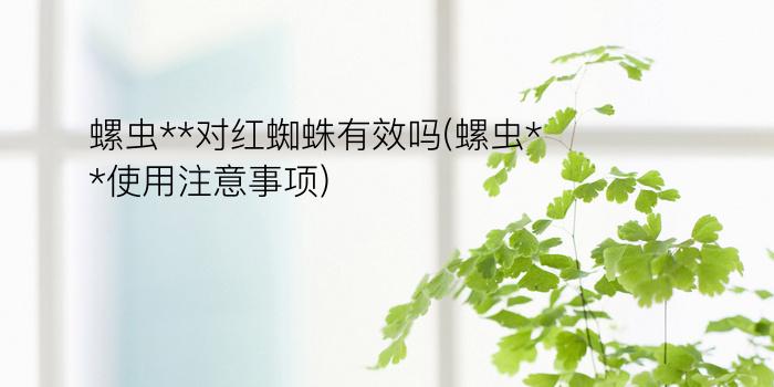 螺虫**对红蜘蛛有效吗(螺虫**使用注意事项)