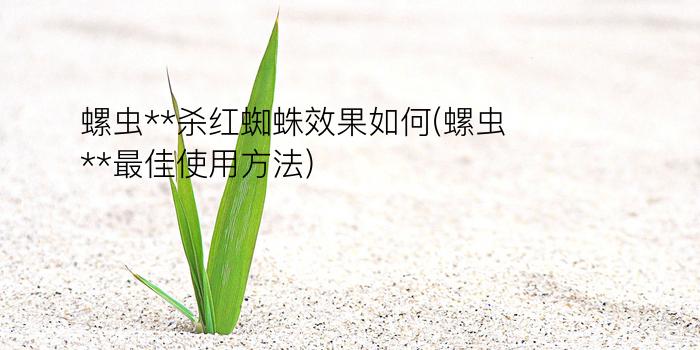 螺虫**杀红蜘蛛效果如何(螺虫**最佳使用方法)