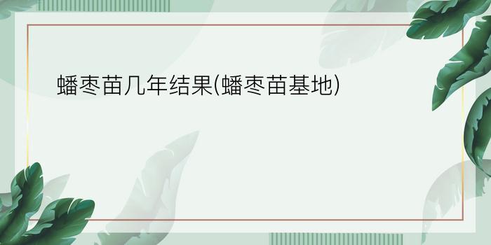 蟠枣苗几年结果(蟠枣苗基地)