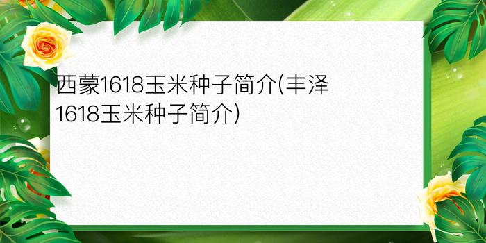 西蒙1618玉米种子简介(丰泽1618玉米种子简介)