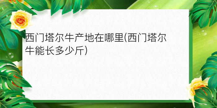 西门塔尔牛产地在哪里(西门塔尔牛能长多少斤)