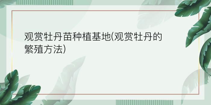 观赏牡丹苗种植基地(观赏牡丹的繁殖方法)