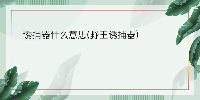 诱捕器什么意思(野王诱捕器)