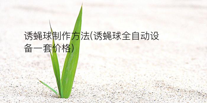 诱蝇球制作方法(诱蝇球全自动设备一套价格)