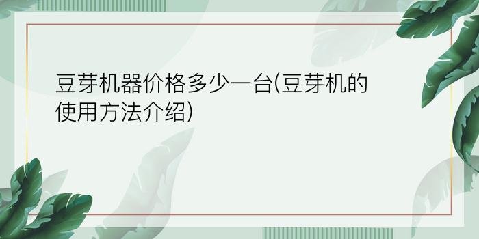 豆芽机器价格多少一台(豆芽机的使用方法介绍)