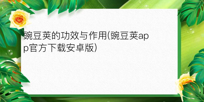 豌豆荚的功效与作用(豌豆荚app官方下载安卓版)