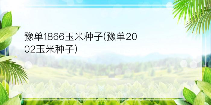 豫单1866玉米种子(豫单2002玉米种子)