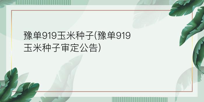 豫单919玉米种子(豫单919玉米种子审定公告)