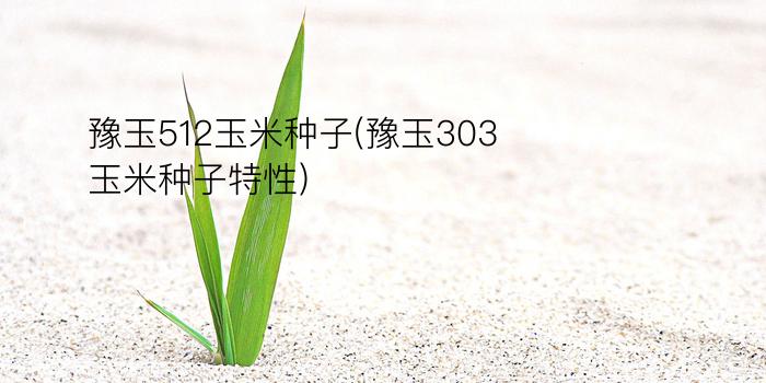 豫玉512玉米种子(豫玉303玉米种子特性)