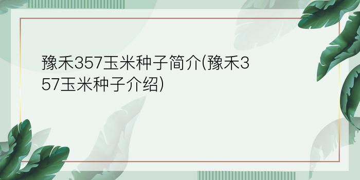 豫禾357玉米种子简介(豫禾357玉米种子介绍)