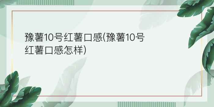 豫薯10号红薯口感(豫薯10号红薯口感怎样)