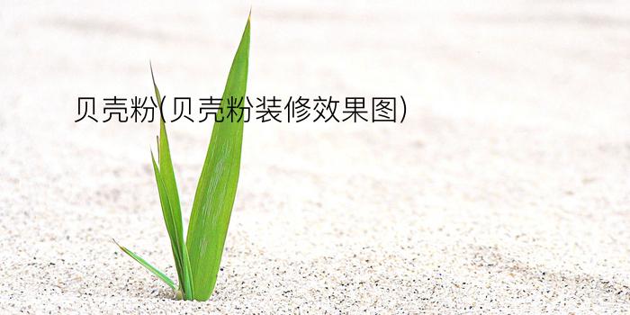 贝壳粉(贝壳粉装修效果图)