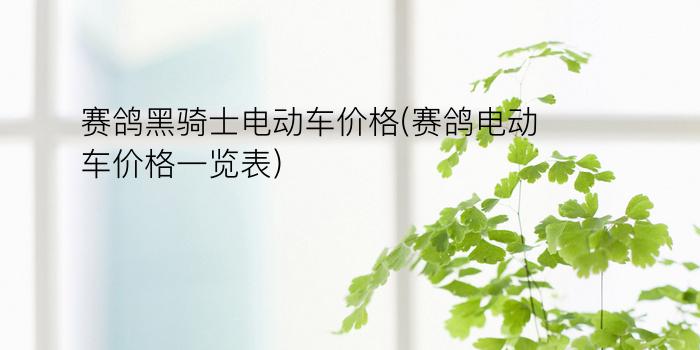 赛鸽黑骑士电动车价格(赛鸽电动车价格一览表)